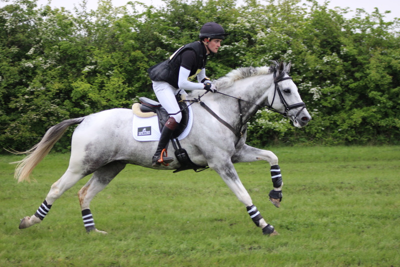 plant, domestic animals, domestic, helmet, competition, animal wildlife, riding, mammal, gallop, sport, grass, pets, people, equine, countryside, outdoors