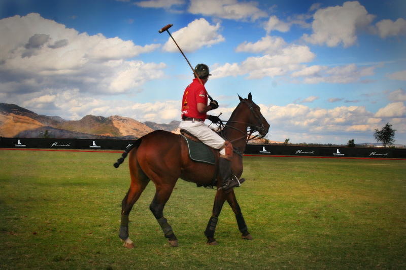 ride, jalisco, horse, equine, mammal, animal wildlife, horses, grass, riding, 2K, mexico, cloud - sky, land, person, animal, livestock, field, polo, domestic animals