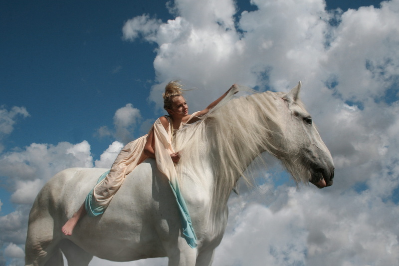 animal, leisure, white horse, beauty, bliss, equine, shire, flying, sun, serene, herbivorous, one person, working animal, heavenly, nature, cloud - sky