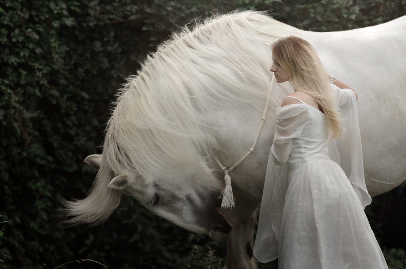 outdoors, friendship, offspring, child, domestic, day, domestic animals, childhood, females, horses, 4K, hair, innocence, magical, white color, blond hair