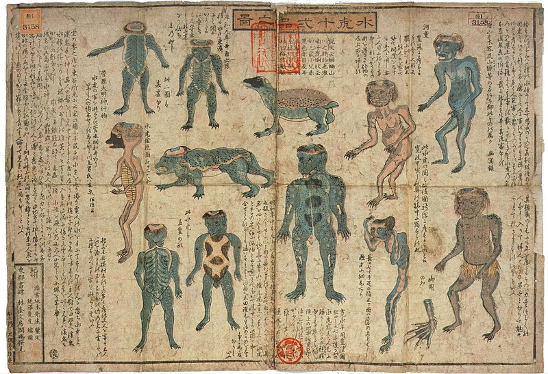 Fantasy, Kappa, Mythology, 720P, Creature, Myth