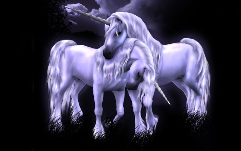 night, white, no people, outdoors, Unicorn, animal wildlife, nature, sculpture, 1080P, animal themes, plant, studio shot, purple, creativity