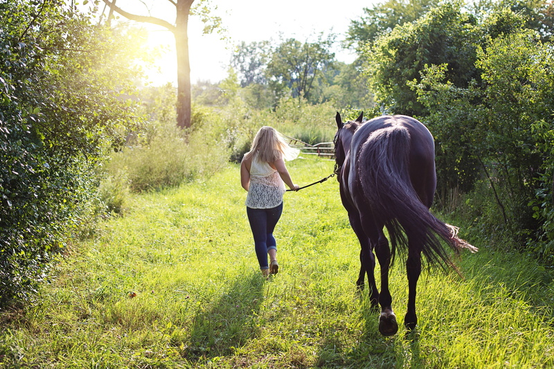 pets, daytime, domestic, plant, beside, jeans, tree, black, woman with horse, horsewoman, horse, green color, women, livestock, real people, hairstyle