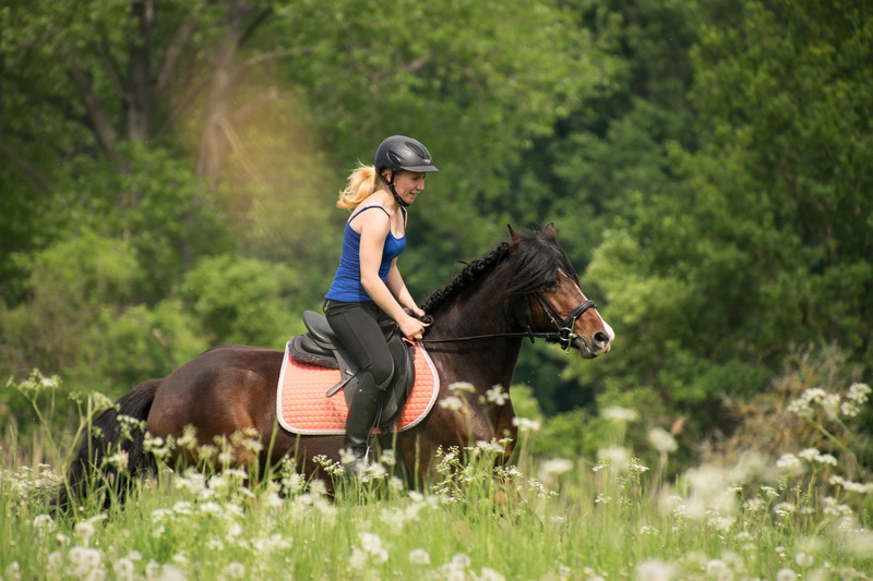 gallop, nature, young women, brown, dandelion, outdoors, trees, one animal, animal, plant, pets, activity, horsewoman, leisure activity, livestock, domestic animals