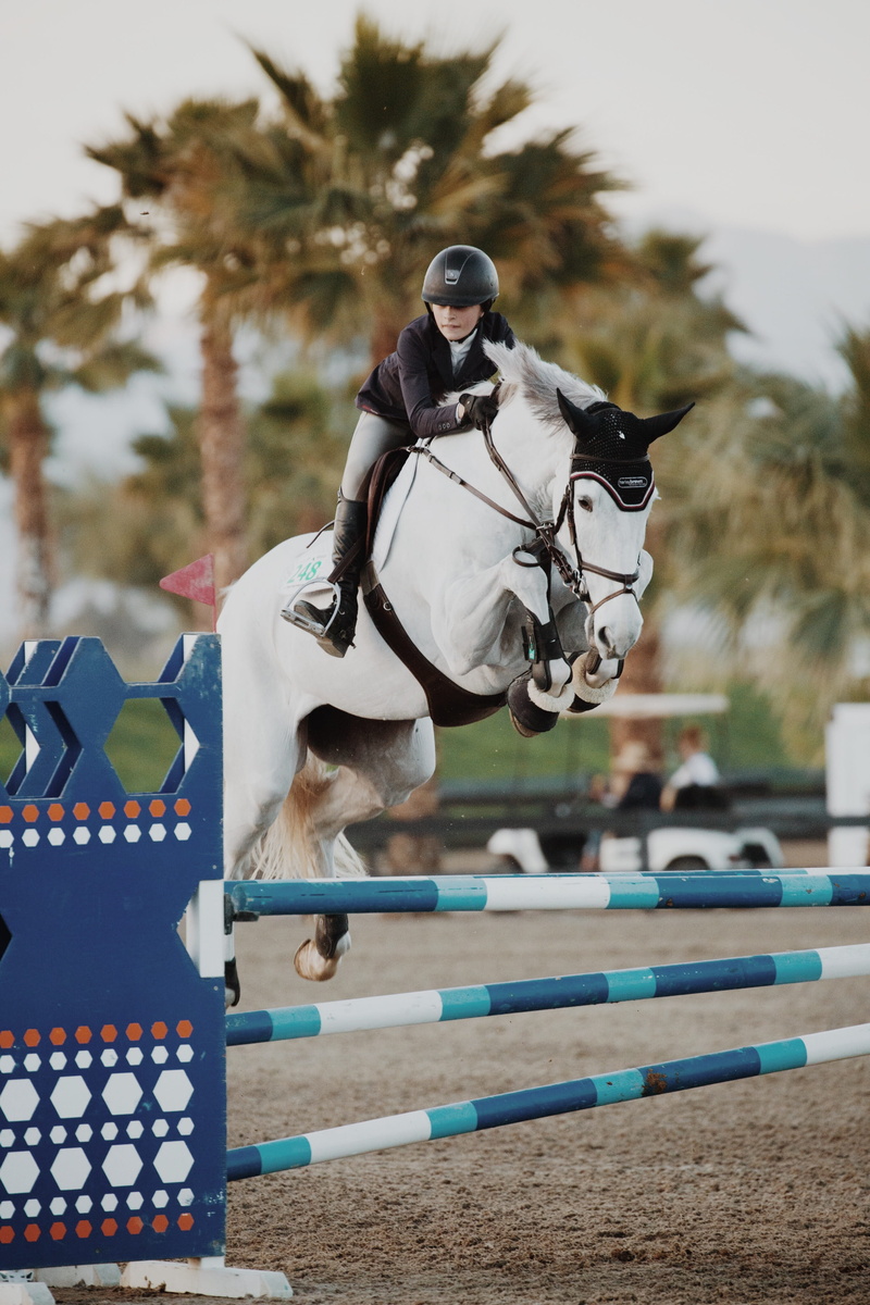 horse rider, real people, jump, stallion, outdoors, jumping, livestock, vertebrate, 4K, herbivorous, competition, horseback riding, animal themes, rider