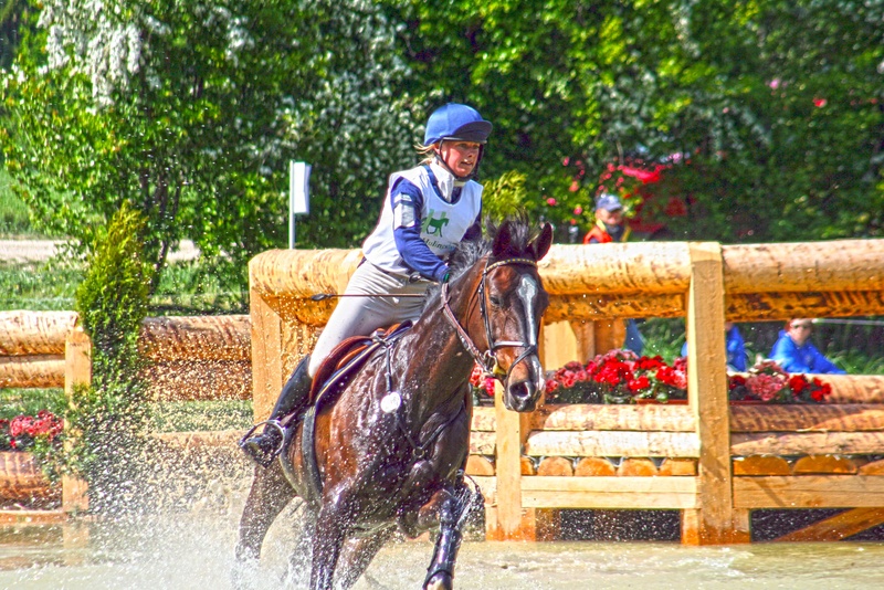 action, vertebrate, domestic animals, ride, sport, water, outdoors, brown, hdr, eventing, activity, movement, 2K, terrain, motion, tree, versatility, horse