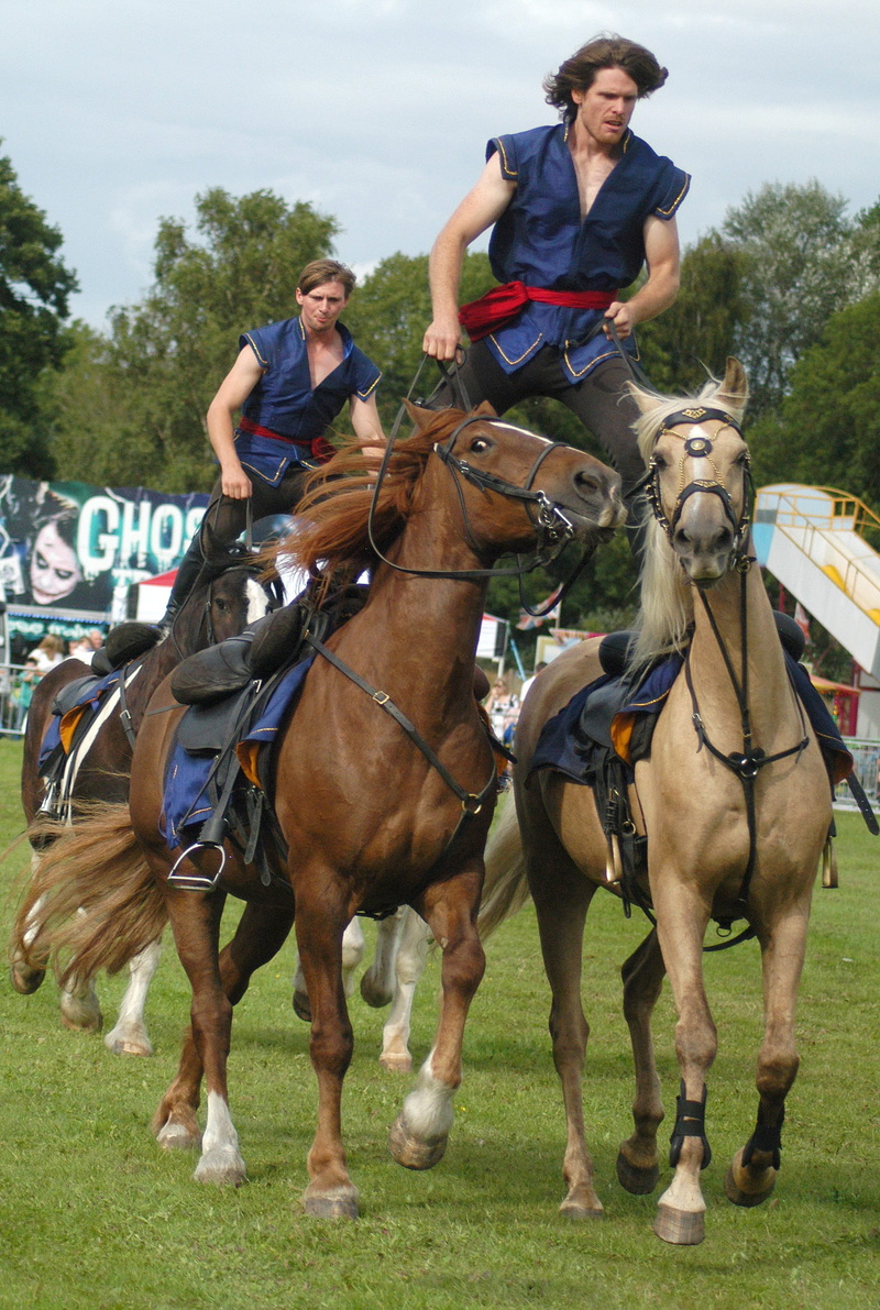 lifestyles, Animal, Stunt, countryside, pets, dressage, real people, Horse, mid adult men, group of animals, riding, men, plant, mid adult, Equestrian