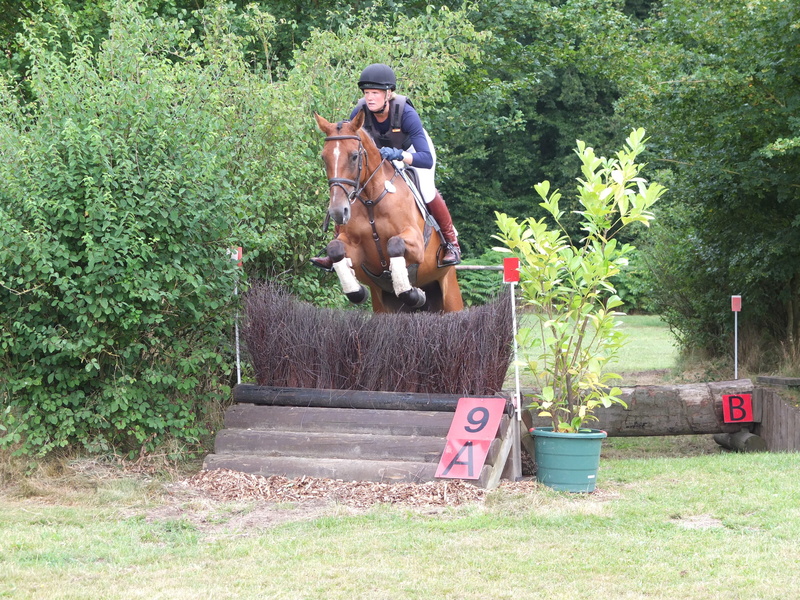 military-horse riding, domestic, 4K, outdoors, pets, riding, tree, domestic animals, brown, movement, sitting, horse, gallop jump, jump, real people, one animal
