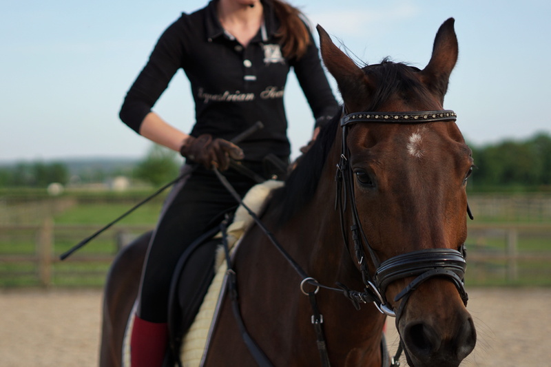 reiter, day, activity, one person, reiterhof, outdoors, jump, horseback riding, riding, bridle, real people, equestrian, ranch, horse, horse stable, mammal