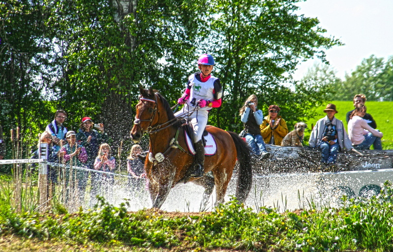 competition, action, horse, military-horse riding, water, medium group of people, jockey, sports Race, moat, hdr, day, brown, terrain, outdoors, plant