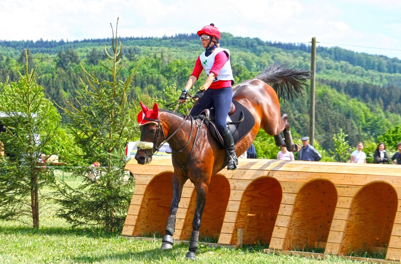 animal, terrain, horse, vertebrate, nature, working animal, activity, horsewoman, versatility examination, mammal, domestic animals, action, animal themes