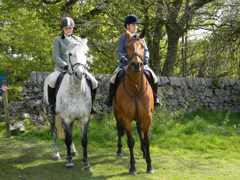 real people, plant, animal, outdoors, horse, domestic, men, domestic animals, ride, horseback Riding, women, rider, animal wildlife, 1080P, equestrienne