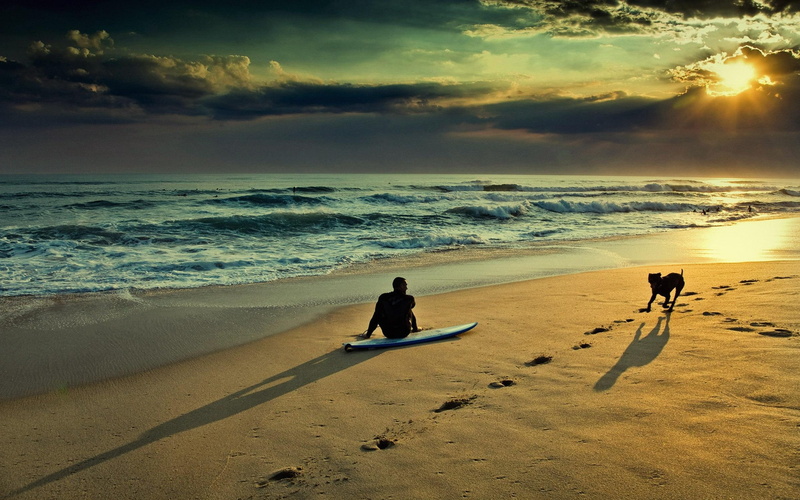 oceans, sand, beautiful, waves, sunsets, 3d and, 2K, animals, nature, dogs, beaches, clouds, friend