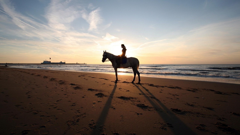 animals, 3d and abstra, gray, nature, horse, girl, oceans, sunset, sand, beaches, 1080P, white, beautiful, clouds