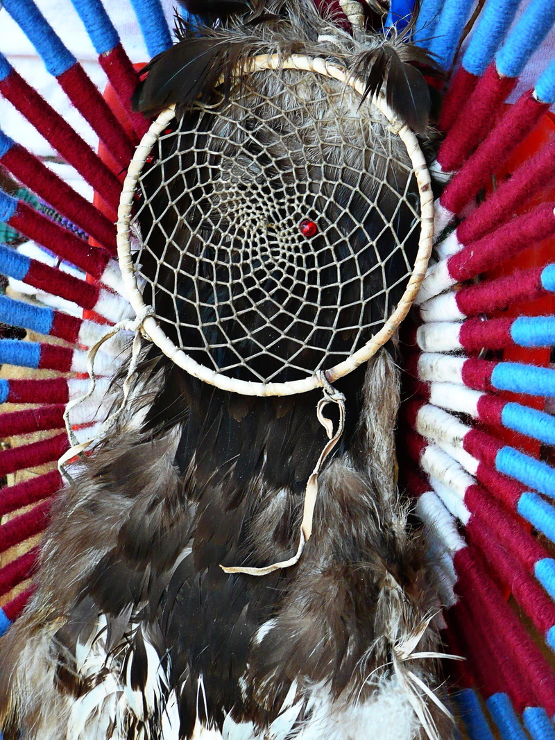 vertebrate, dreamcatcher, clothing, red, plume, mammal, hair, gray, catcher, one animal, animal wildlife, scarf, animal themes, indoors, focus on foreground