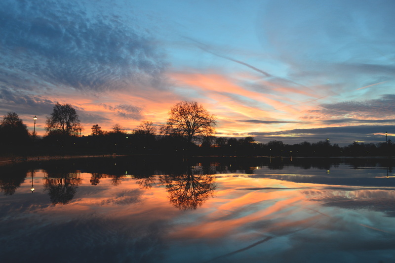 tree, colour, sunset, no people, united kingdom, plant, lake, color, clapham common north side, nature, 5K, tranquil scene, clapham, sky, common, cloud - sky