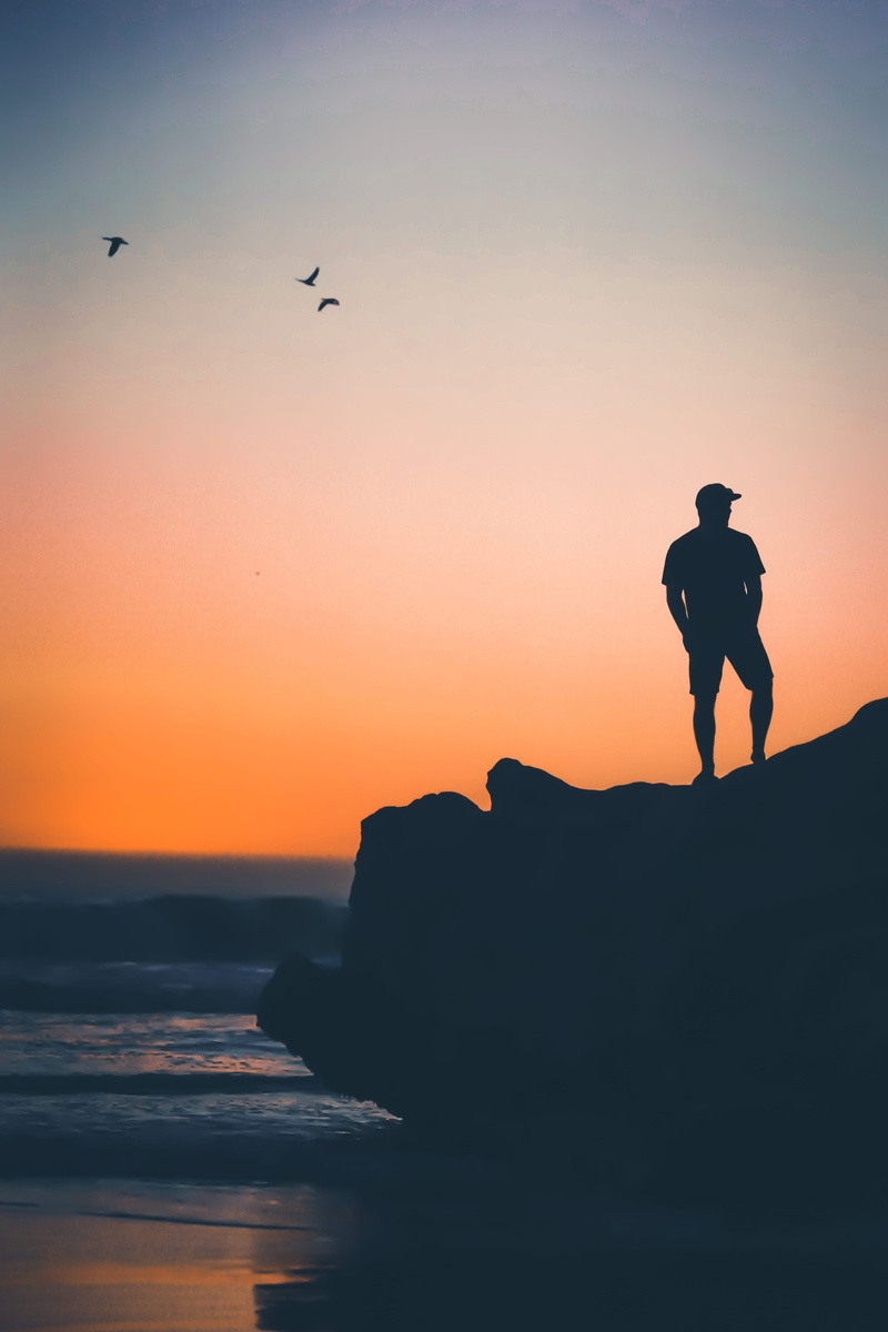 horizon over water, ocean, real people, outdoors, sea, seashore, sunset, bird, water, coastline, vertebrate, coast, sillouette, silhouette, orange, beside