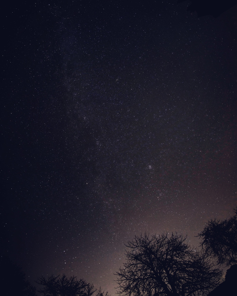 scenics - nature, tree, tranquil scene, black, space and astronomy, nighttime, nightsky, planet, star - space, star, tranquility, infinity, beauty in nature