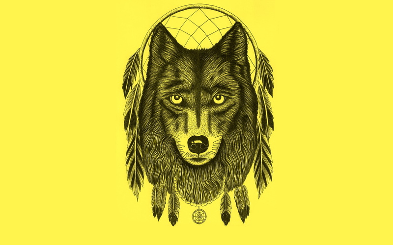 indoors, domestic, cut out, looking at camera, wolf, Dreamcatcher, light background, feathers, colored background, creativity, minimalism, yellow background