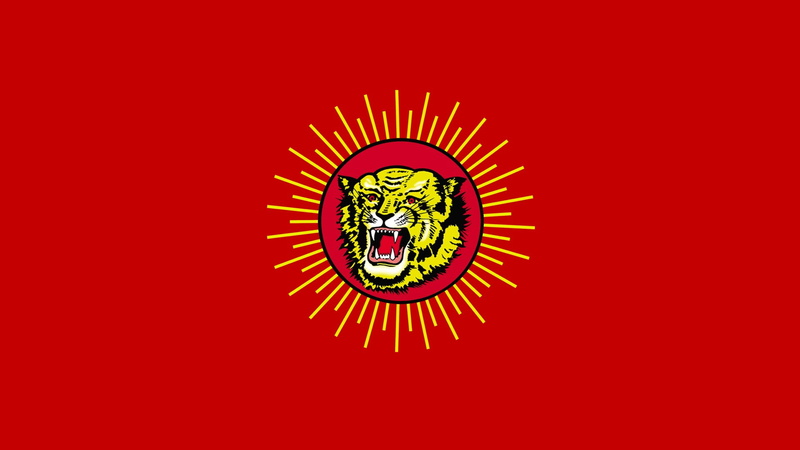 food and drink, concentric, Tiger, shape, 1080P, NTK, food, no people, Tamil, Flag, full frame, studio shot, animal, close-up, multi colored, Naam Tamilar