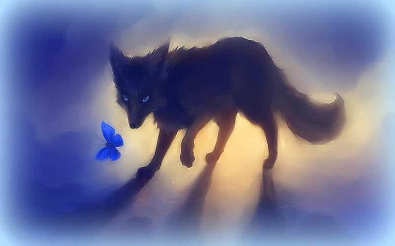 paintings, fox, 1080P, softness-beauty, digit, lovely, colors, cool, animals, butterfly, creative-pre--made, drawings, black