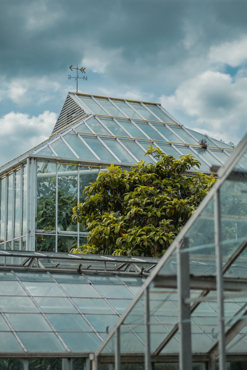 wind vane, cloudy, photo, roof, green house, green color, outdoors, industry, plant nursery, day, plant, 5K, glass house, glass, gray, red, agriculture