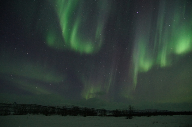 majestic, illuminated, aurora borealis, astronomy, aurora polaris, mystery, tranquility, sweden, green color, beauty in nature, night, luminosity, environment