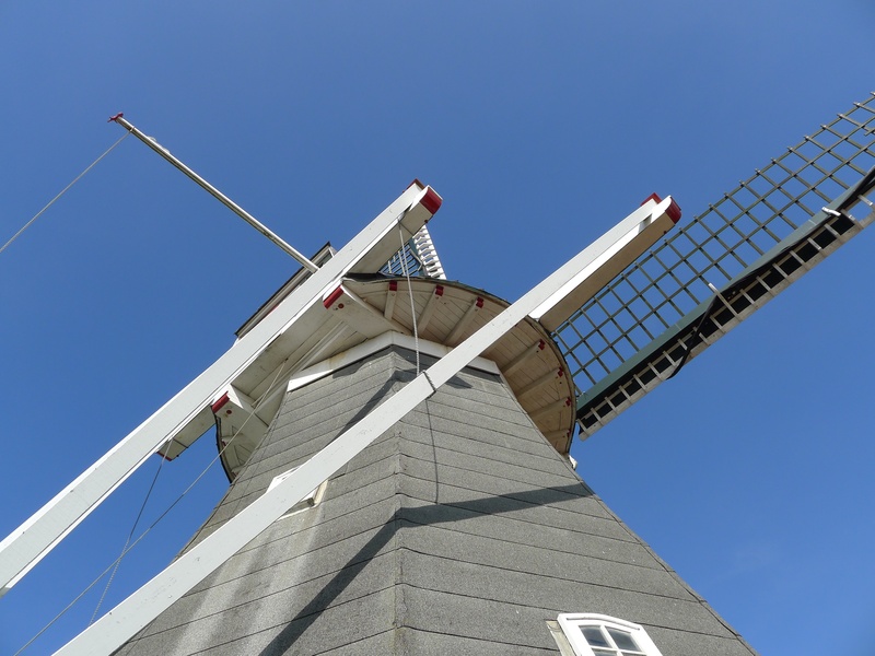 environmental conservation, sunlight, east frisia, krummhörn historical landmark, sustainable resources, rysum, traditional windmill, day, 2K, ostfriesland