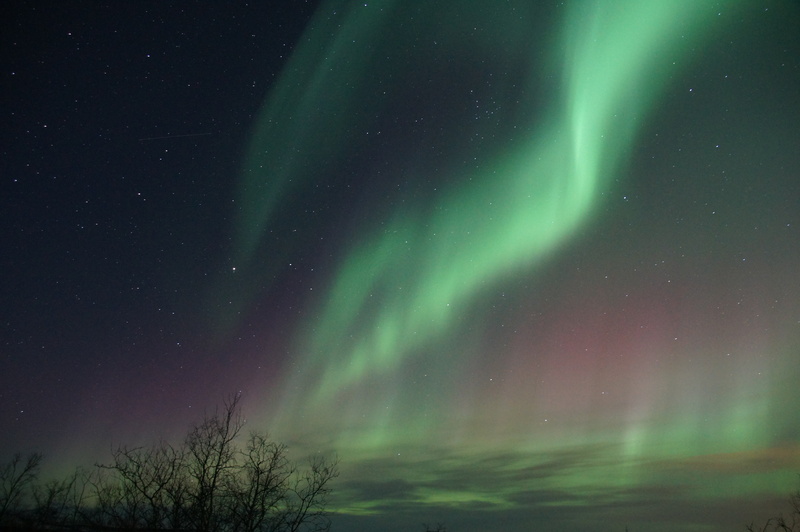 majestic, luminosity, cold temperature, 4K, mystery, green, northern lights, light, night, aurora borealis, dramatic sky, tranquility, snow, aurora polaris
