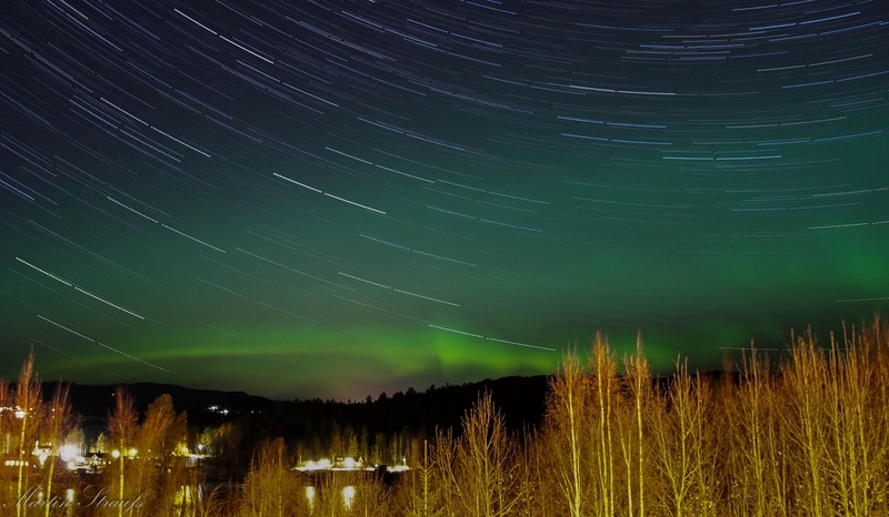 star trail, star, space and astronomy, illuminated, astronomy, northern lights, photography, no people, star track, constellation, scenics - nature, star - space