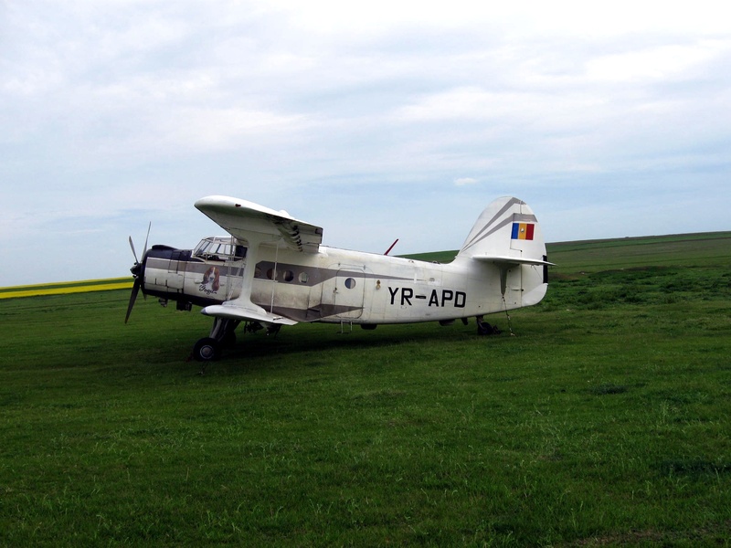 aviation, plane, on the move, single object, an-2, grass, airplane, airport runway, mode of transportation, old, day, motion, aerospace industry, fuselage
