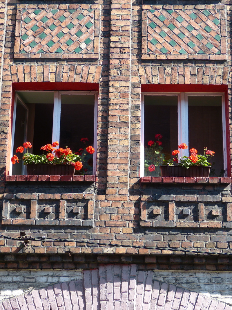 flower box, outdoors, nature, flowering plant, day, flower, brick, wall, settlement, architecture, built structure, mining settlement, house, residential district
