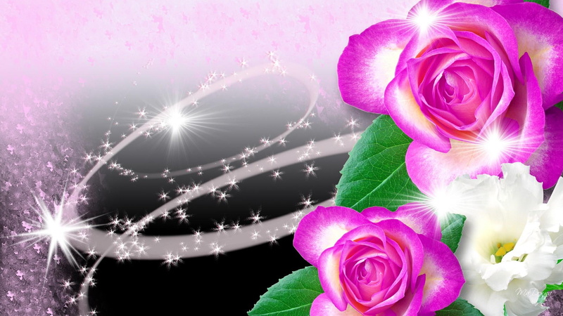 roses, everbright, natural, glitter, bright, sparkles, stars, dramatic, artistic, 1080P, pink, glow, flowers, neon