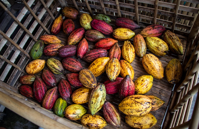 no people, vietnam mekong river delta, close-up, variation, high angle view, healthy eating, market, cocoa pods, fruit, day, abundance, 5K, cooca, potato