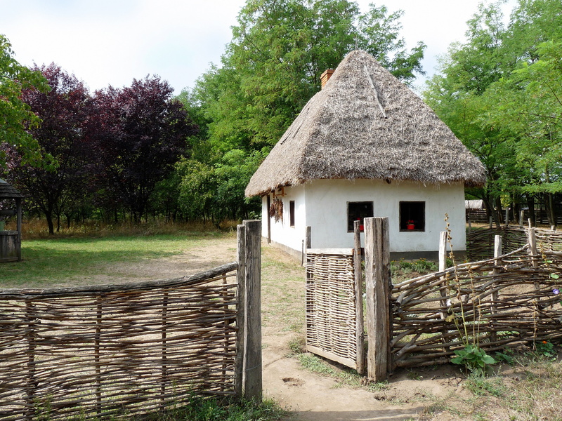 no people, house, land, field, built structure, folk architect, building exterior, hut, thatched roof, 4K, farm, tree, growth, day, building, nature, plant