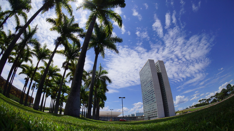 outdoors, buildings, day, skyscraper, senate, palm tree, landscape, tree, nature, building, sunlight, center, office building exterior, built structure