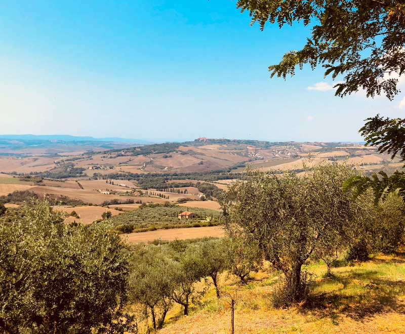 land, 2K, tranquility, outdoors, growth, wilderness, field, countryside, scenery, winemaking, italy, plateau, scenics - nature, no people, beauty in nature