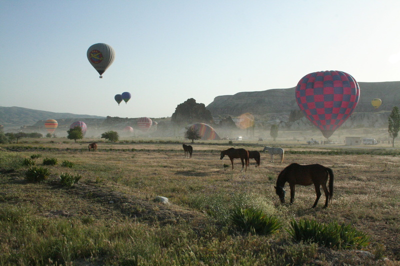 mountain, clouds, hot air balloon, environment, stone, naturale, animal, land, horses, landscape, summer, outdoors, cappadocia, sky, ballooning, cloudy
