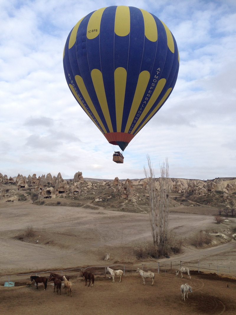 landscape, turkey, horse, beauty in nature, cloudy, balloon, spring, no people, 2K, field, summer, hot air balloon, naturale, environment, animal themes