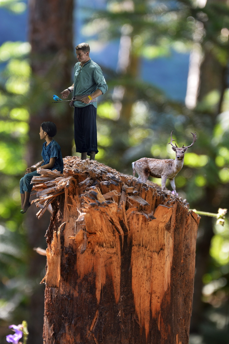 casual clothing, one animal, standing, natural disaster, vertebrate, cloudy, nature, men, stone, tree, animals in the wild, day, bark, flower, mammal, leisure activity
