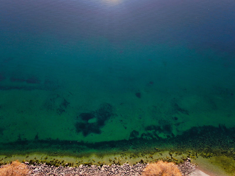 lake, animal, green, land, outdoors, body, underwater, travel, nature, undersea, mavic2, switzerland, arial view, neuchâtel, photography, ocean, day, tranquility