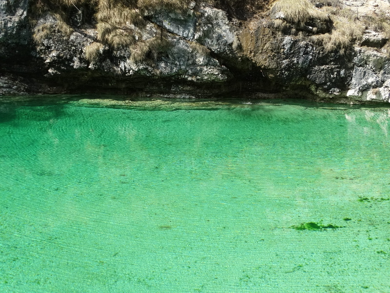 beauty in nature, plant, green color, green, solid, riserva naturale val alba, water, clean, rock, transparent, tranquility, scenics - nature, italy, 2K