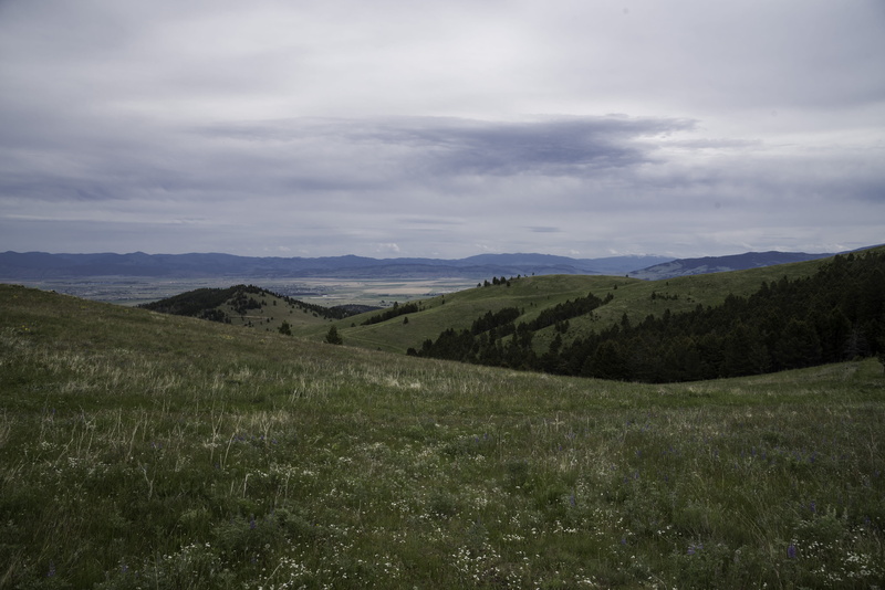 mountain range, growth, non-urban scene, land, environment, clouds, featured, summer, United States, green Color, outdoors, plant, mountain, grass, rural Scene