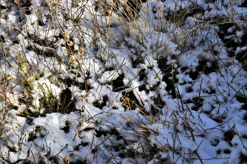 mountain, beauty in nature, the rest, outdoors, day, winter, the background, natural, plant, white color, full frame, in the shadows, nature, follow, close-up
