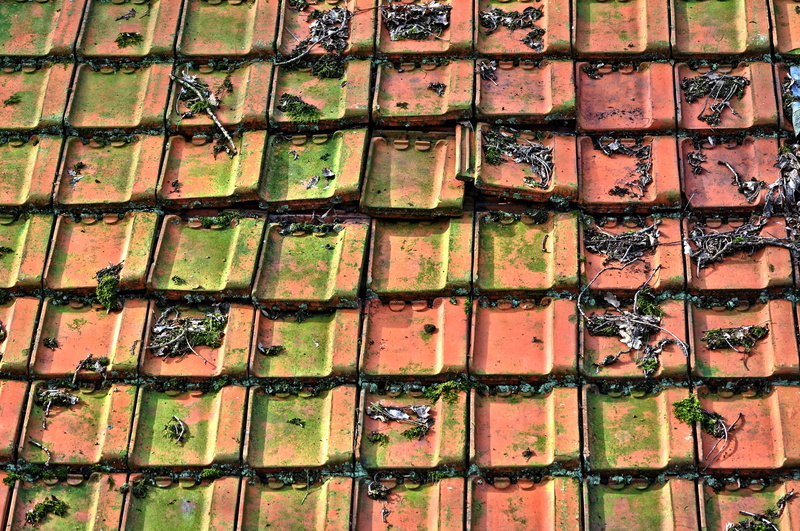no people, tiles, roof tiles, overlap, repetition, pattern, architecture, nature, red roof tiles, 4K, old, ceramic, building, red roof, row, brick, concrete