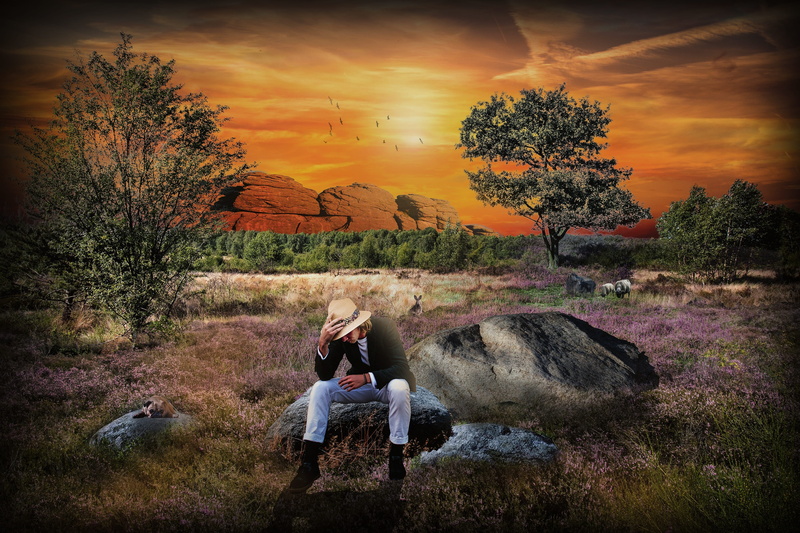 composing, human arm, idyllic, casual clothing, 2K, solid, couple - relationship, lifestyles, outdoors, land, plant, sunset, tree, roma table, cloud - sky