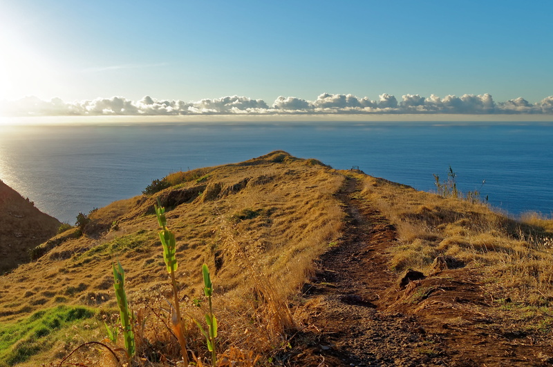 plant, Roma, beach, sunlight, coastline, tranquil scene, bay, portugal, Table, beauty in nature, vision, madeira, sky, viewpoint, architecture, tranquility