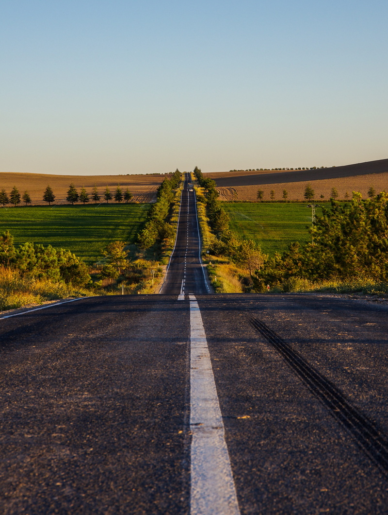 road, 4K, perspective, transportation, nature, travel, tree, clear sky, day, asphalt, desert, vanishing point, road marking, the way forward, diminishing perspective