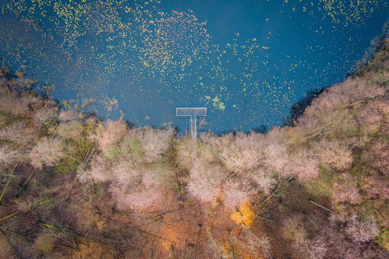 landscape, way, foliage, holiday, beauty in nature, travel, drone, crossing, water, beach, sport, environment, tranquil scene, autumn, colors, nature, forest