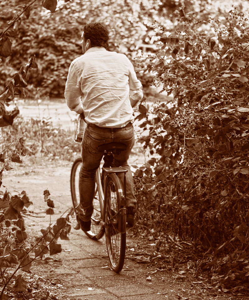 cycling, real people, plant, riding, 4K, destination, lifestyles, casual clothing, outdoors, mode of transportation, person, transport, bike ride, man